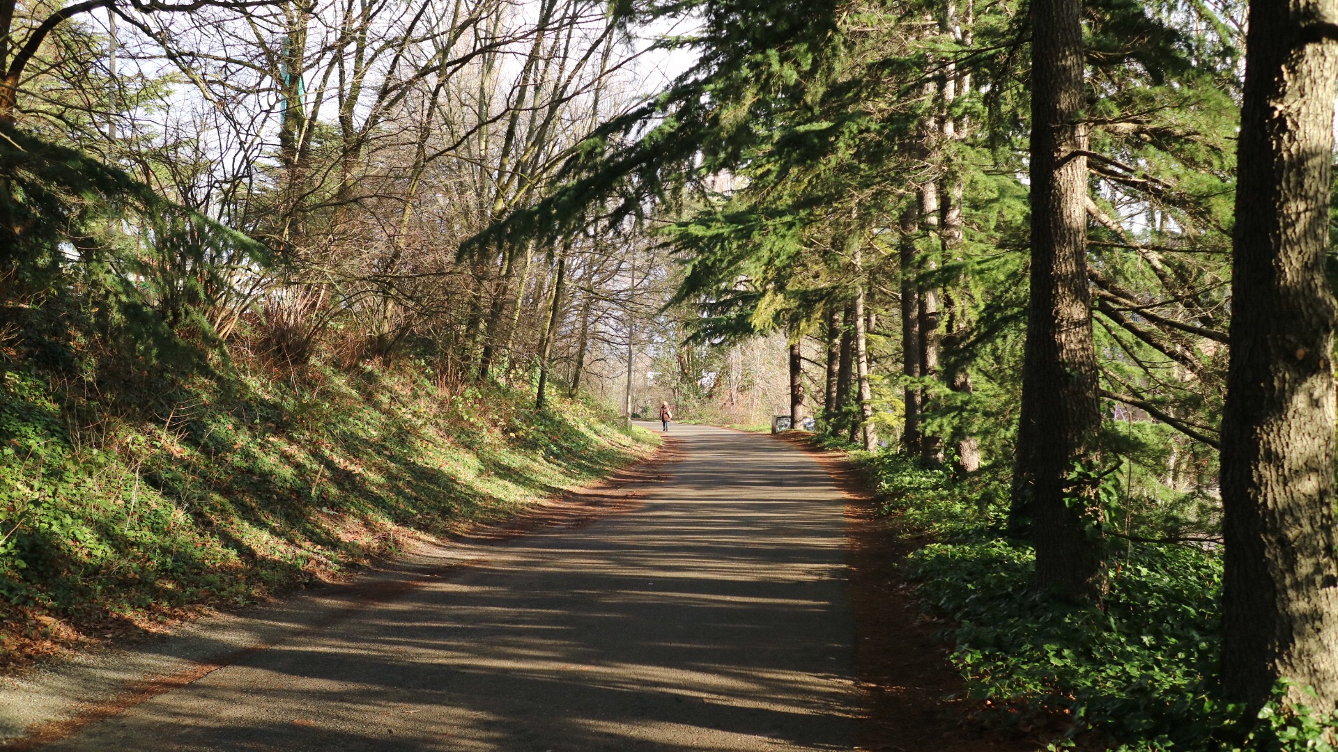 Burke-Gilman Trail