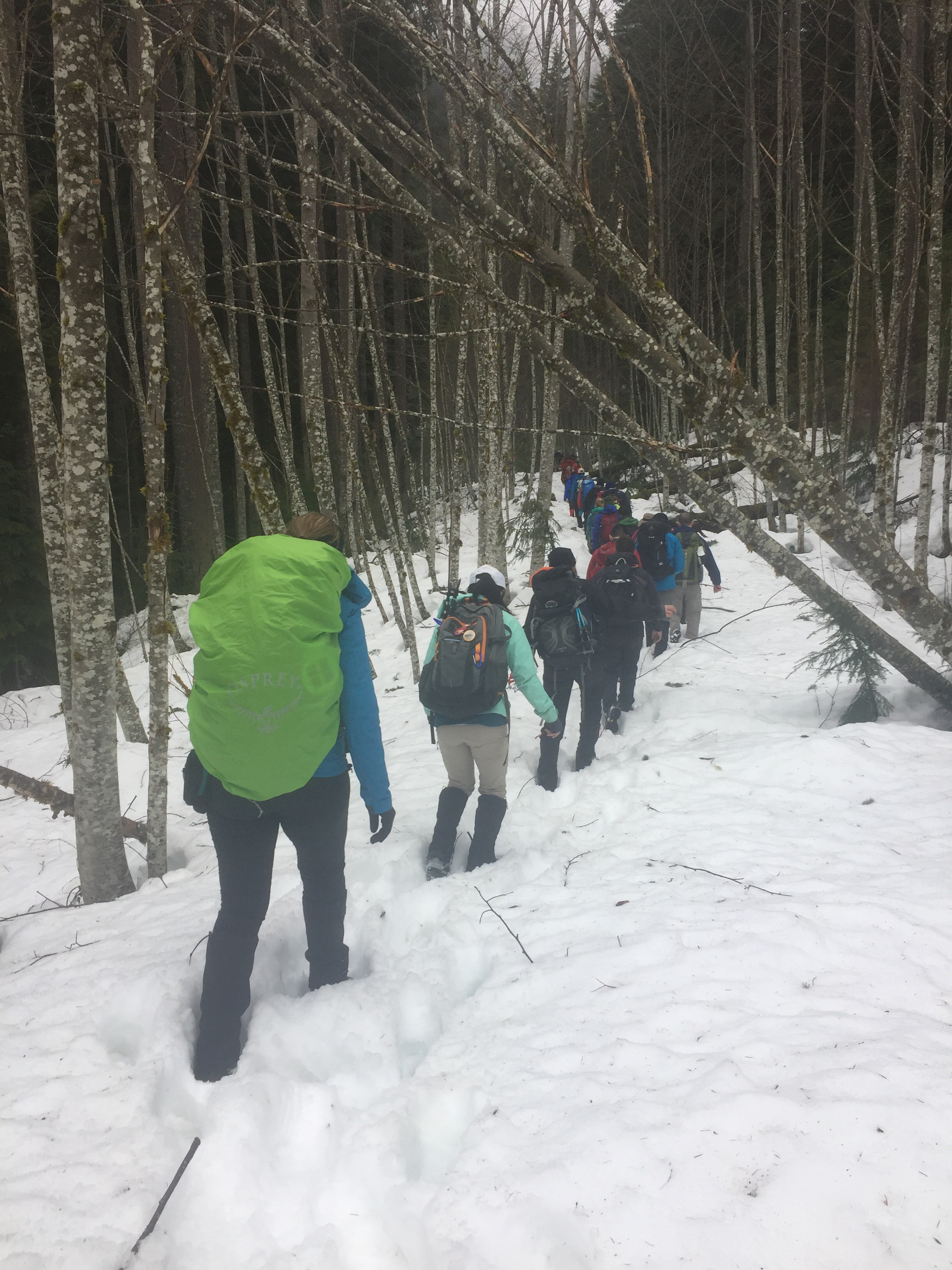 A line of hikers walking in the snow to the final navigation test for the Wilderness First Aid class