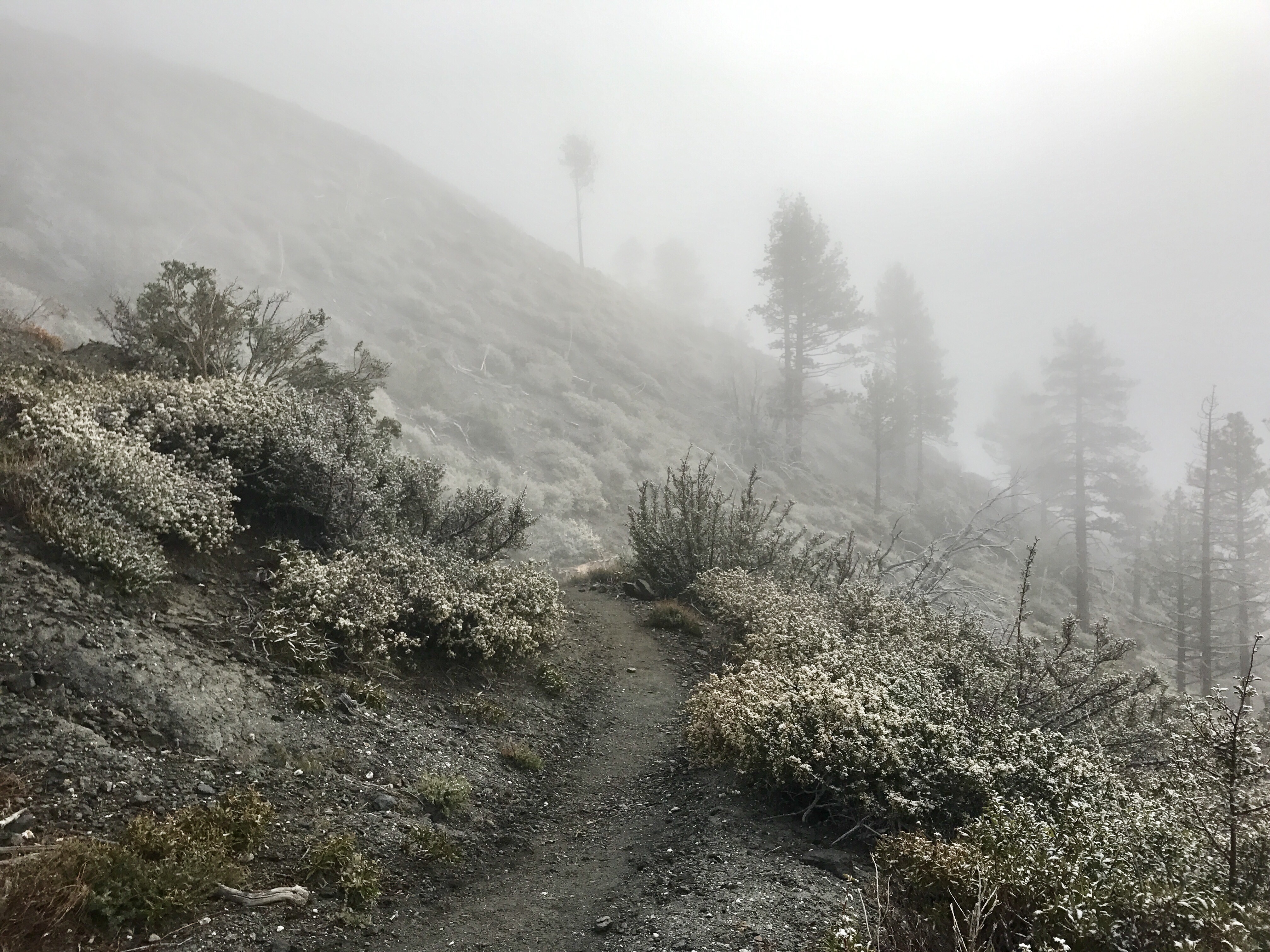 PCT Day 32 – Hiking in Snow to Wrightwood