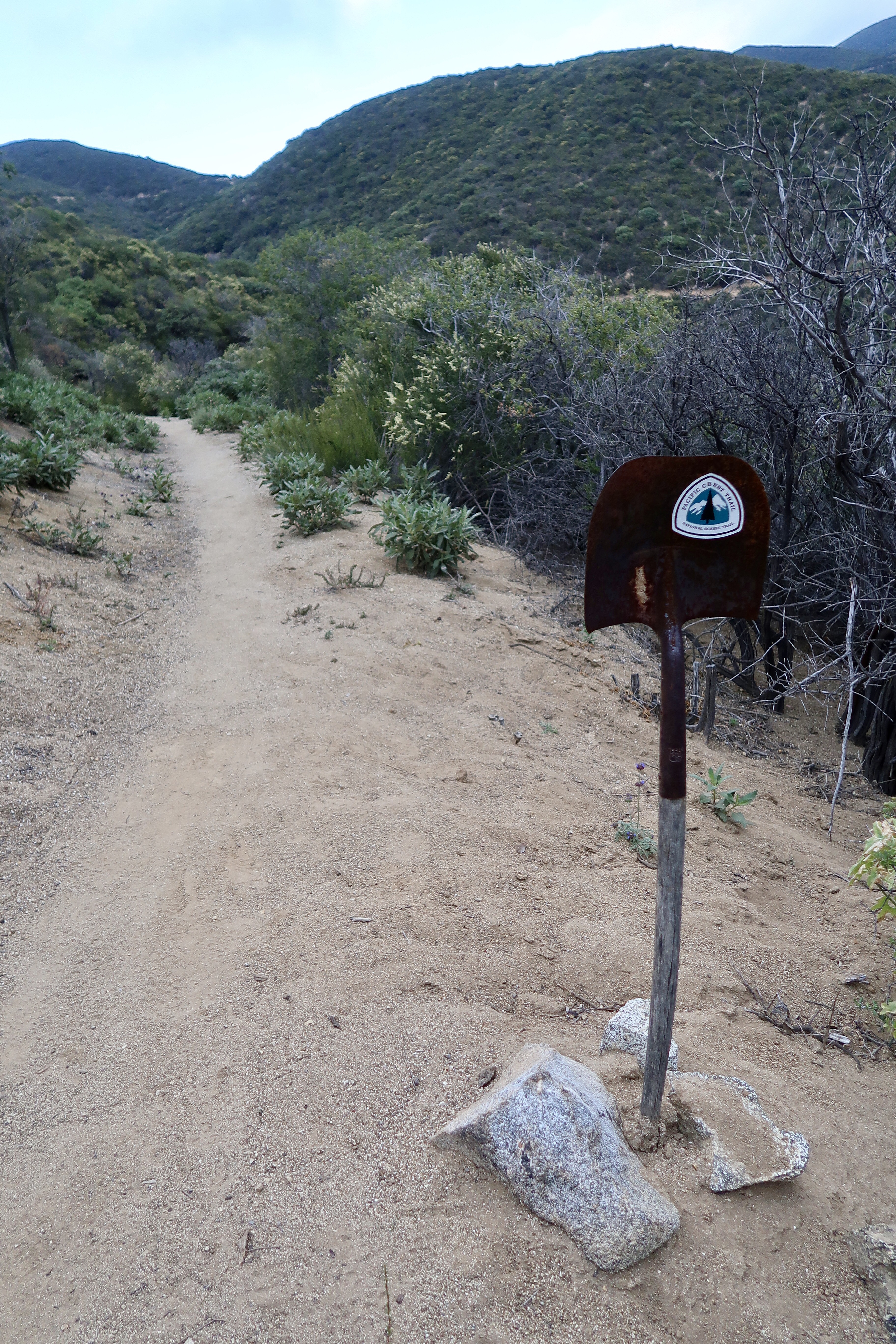 PCT Day 43 – A Discouraging Day