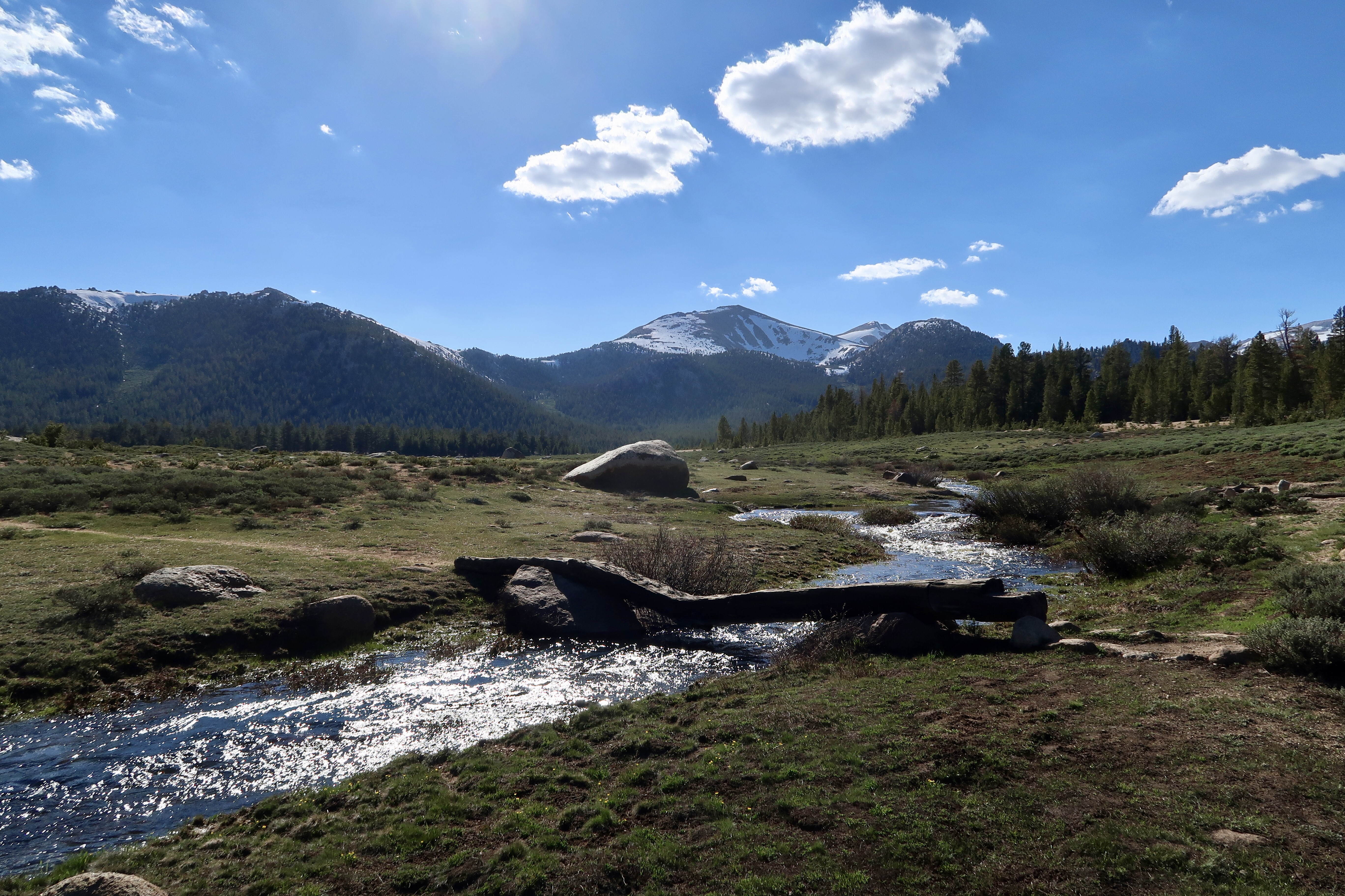 PCT Day 64 – Death Canyon Creek to Trail Pass Junction