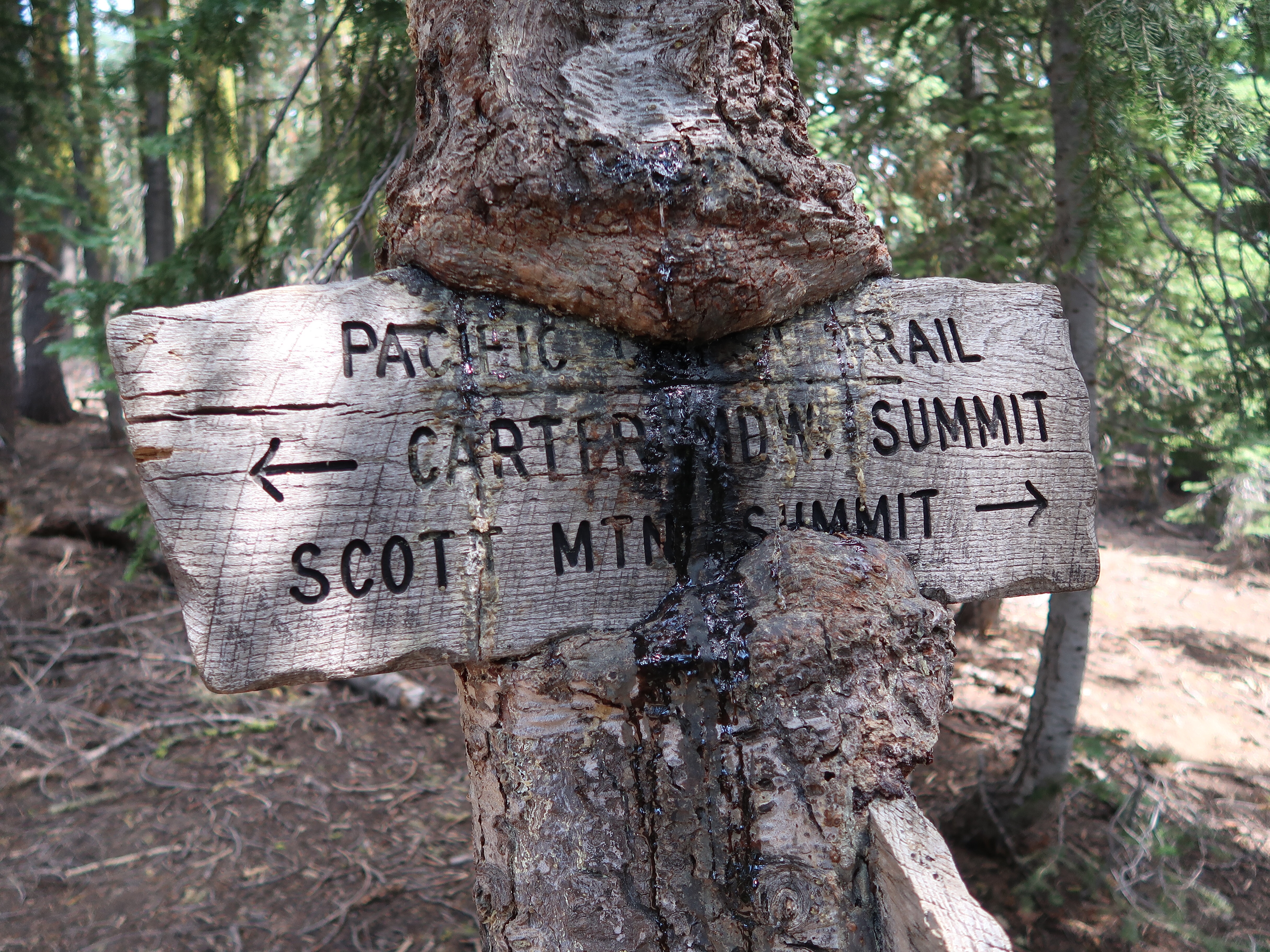 PCT Day 114 – Trinity Alps Wilderness