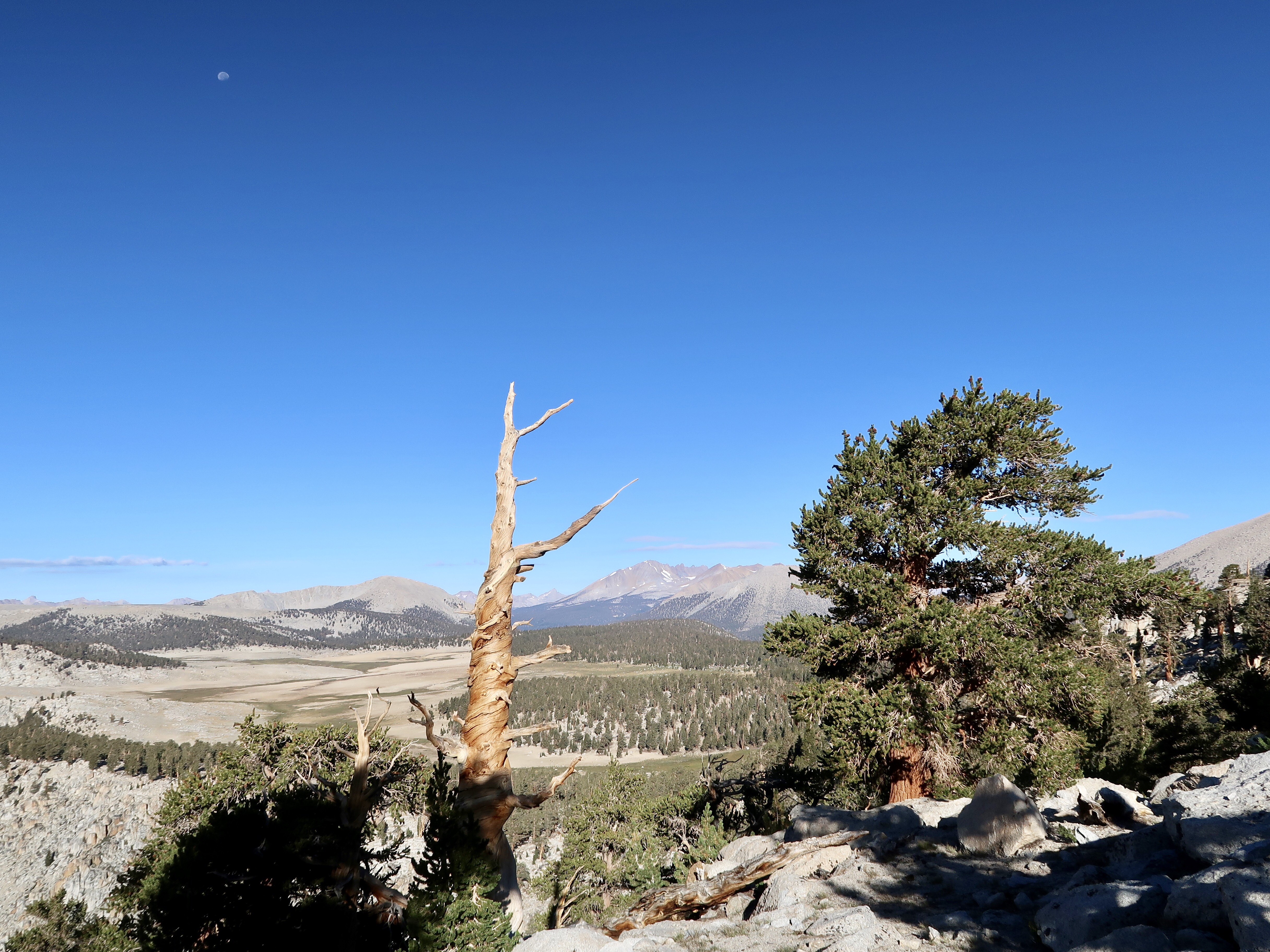 Pct sequoia shop national park