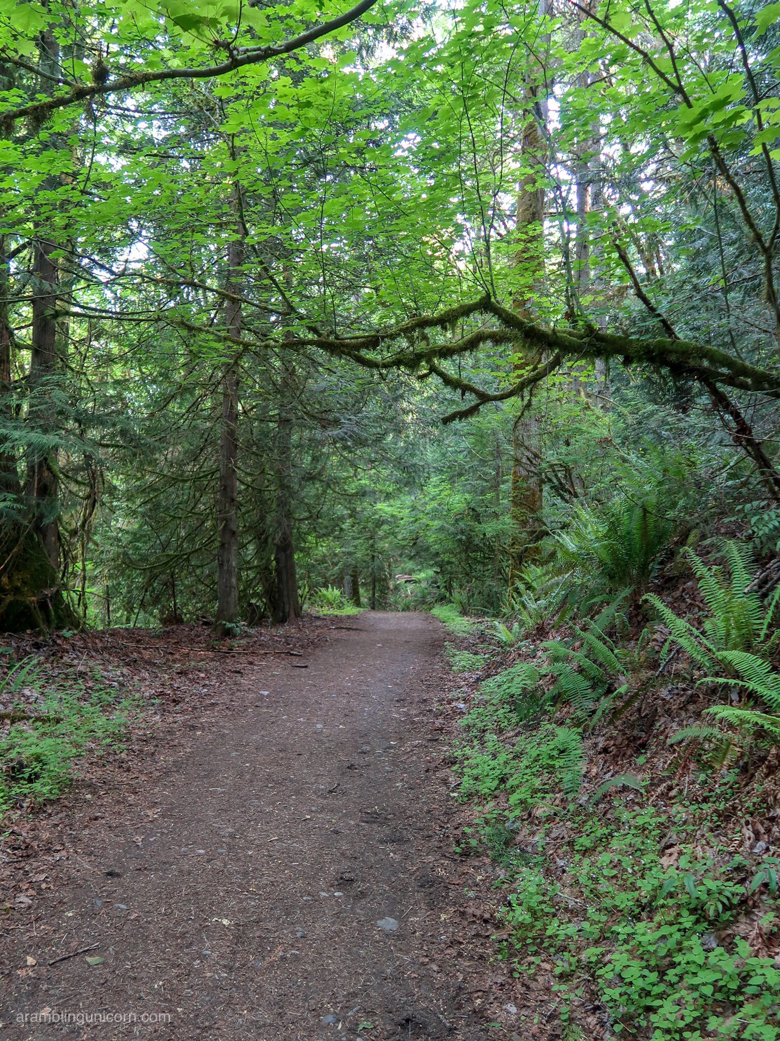 Exploring one of the Seattle Area’s Best-Kept Secrets: The Redmond Watershed Preserve
