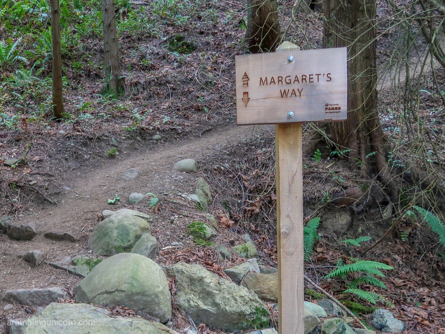 Margaretâ€™s Way Trail to Debbieâ€™s View on Squak Mountain
