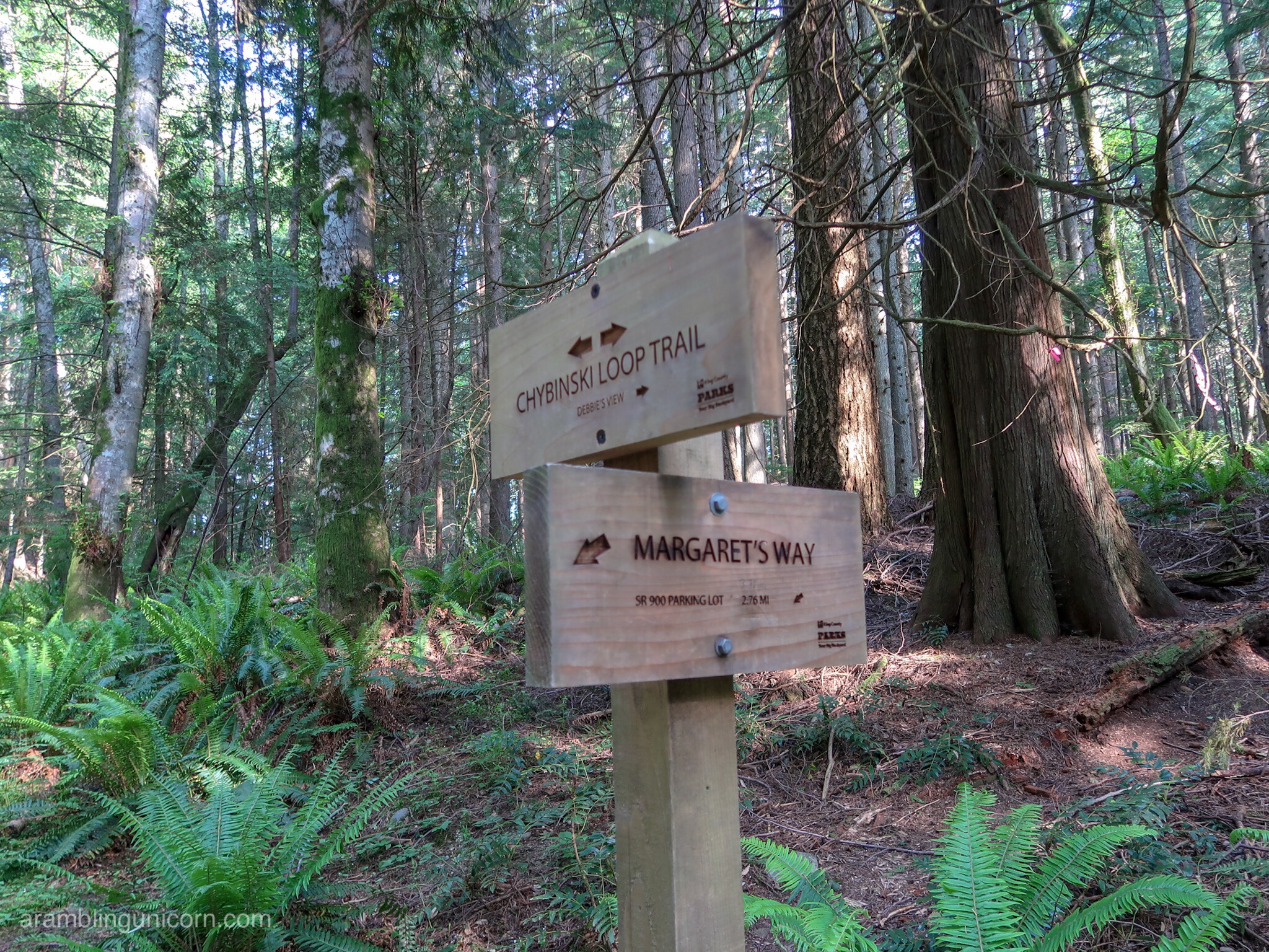 Intersection of the Margaret's Way Trail with Chybinski Loop Trail