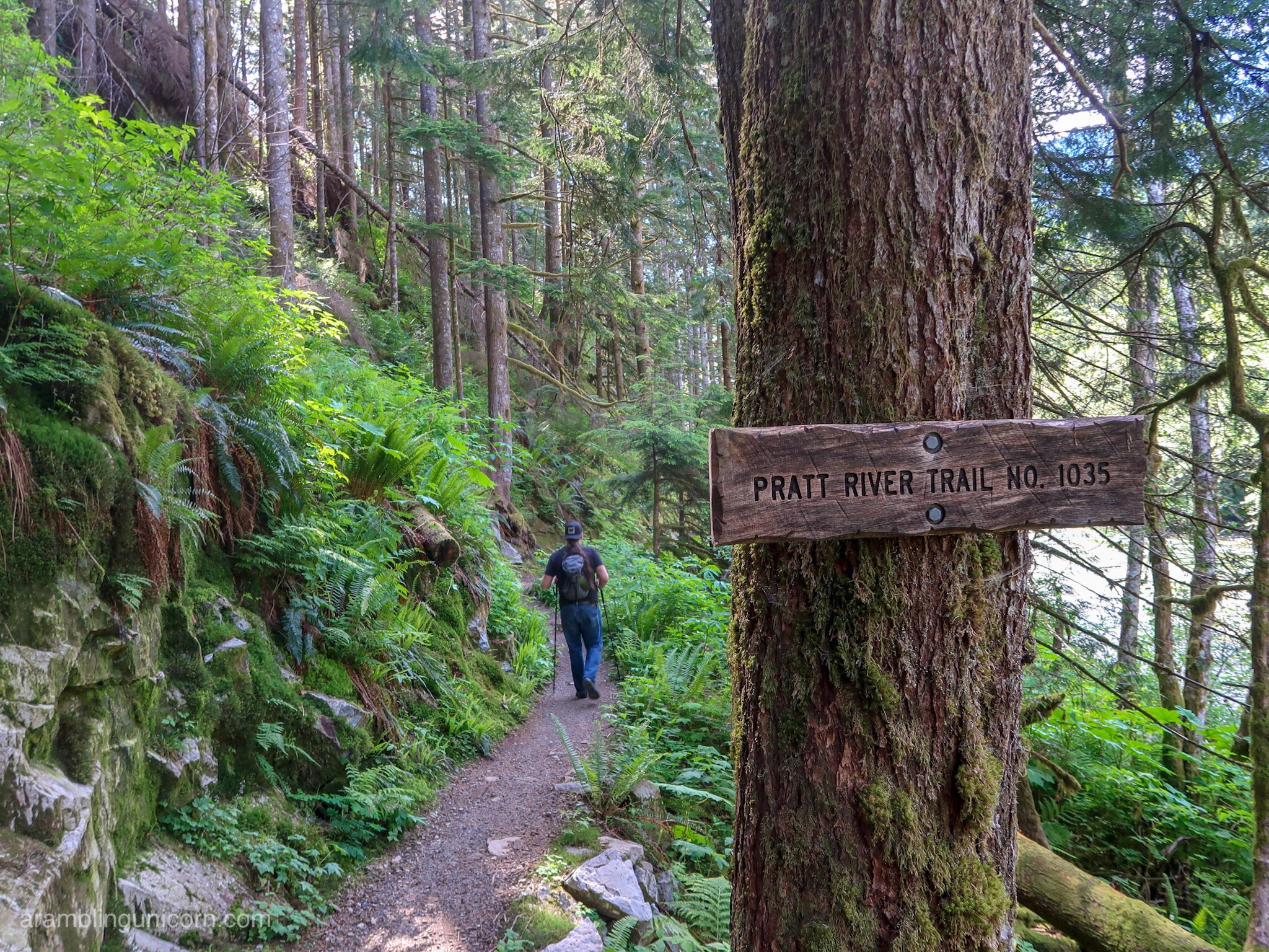 Exploring the Wild and Beautiful  Snoqualmie River: Pratt River Connector Trail