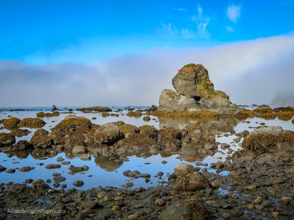 Rugged rocks along the coastline on the Ozette Triangle Loop Trail