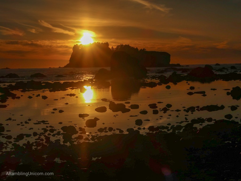 A brilliant yellow unset as viewed from Wedding Rocks on the Ozette Triangle Loop Trail