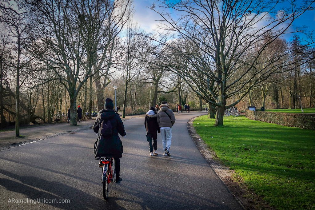Amsterdam Blog post: I follow behind Katjia as we cycle through Vondelpark.