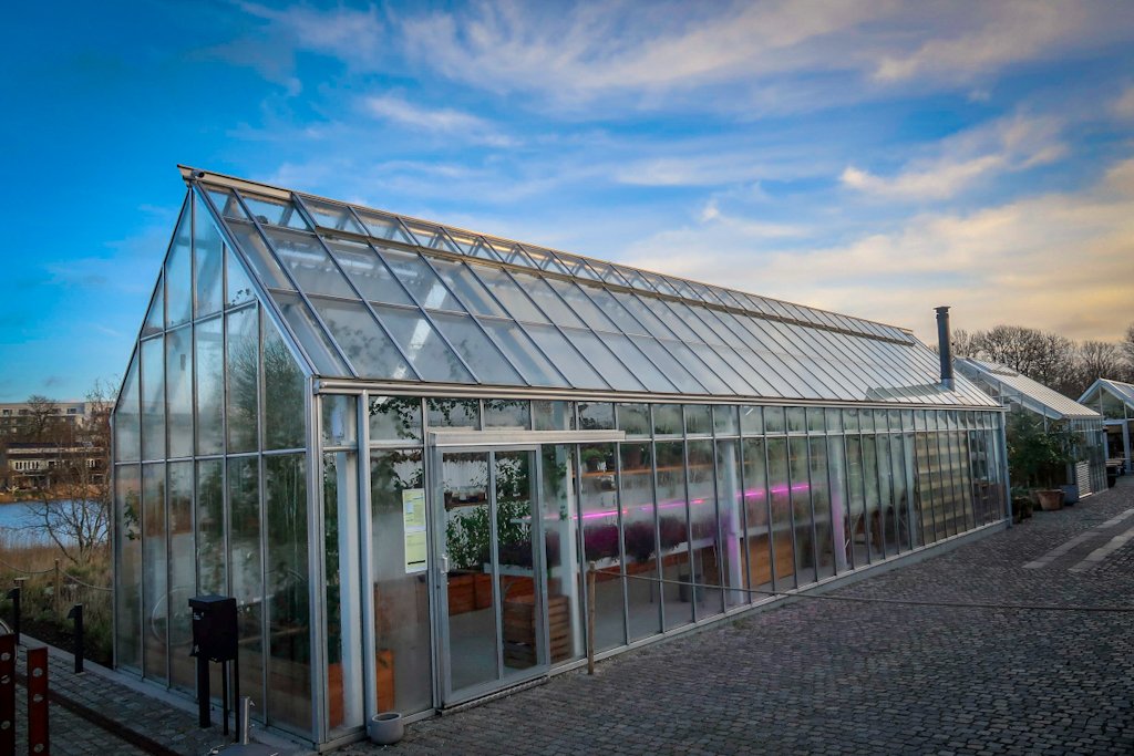 The NOMA greenhouse. This is where you wait to be seated upon arrival.