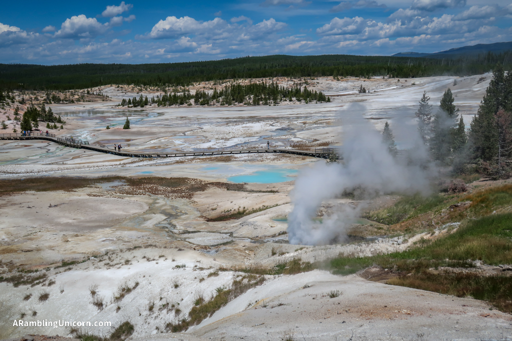 Great America Road Trip Day 12: Welcome to Yellowstone