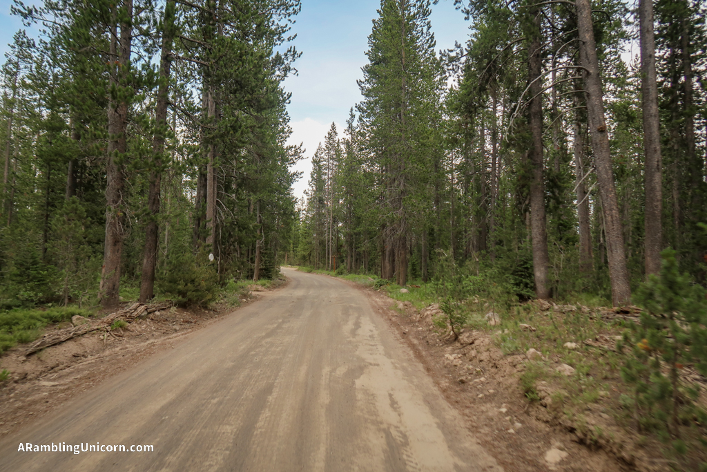 Ashton-Flagg Ranch Road - a long and bumpy Forest Service road