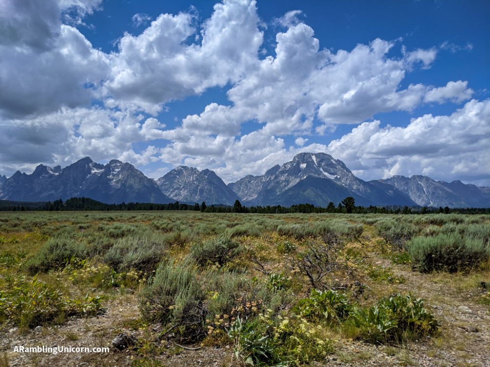 Jenny Lake Hike In Grand Teton National Park - A Rambling Unicorn