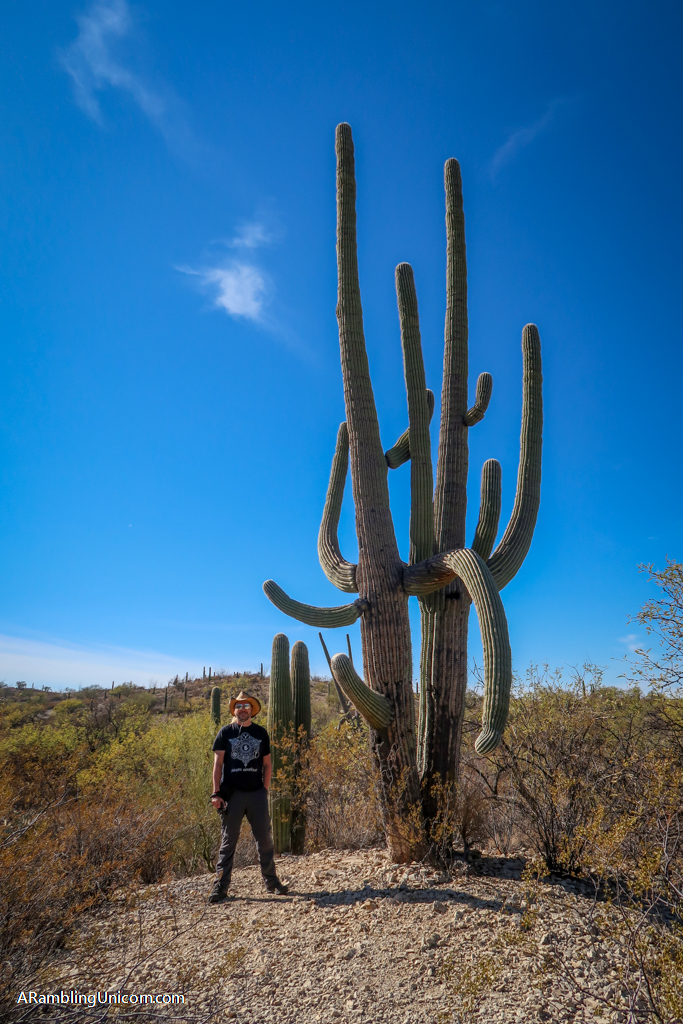 Daniel stands next to a giant Saguaro