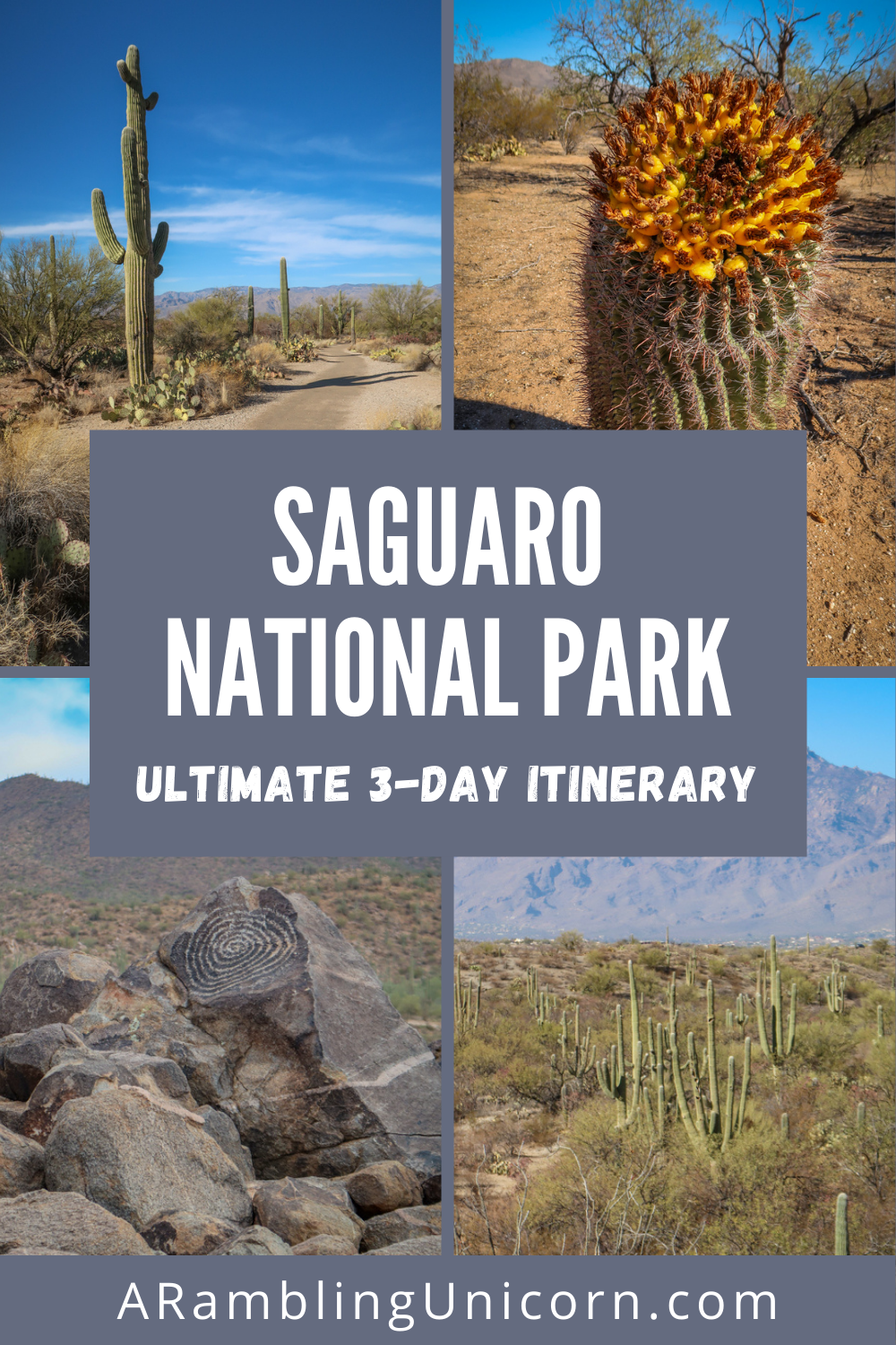 Collage of photos from Saguaro National Park