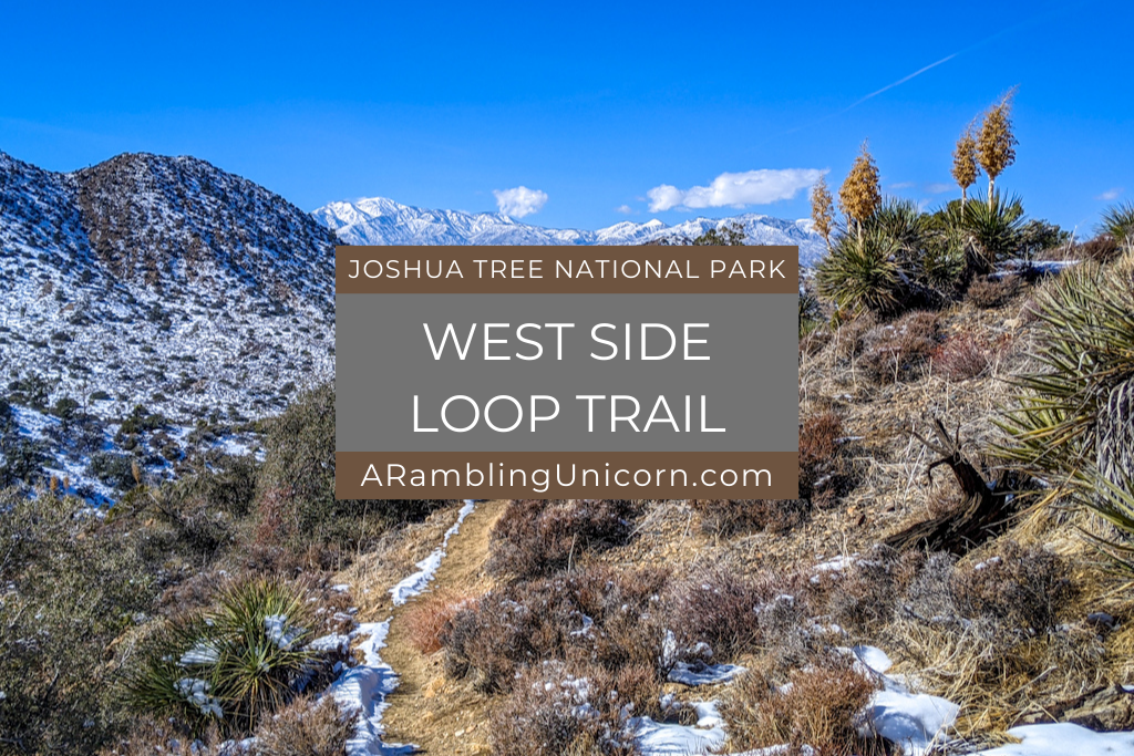 West Side Loop Trail: A Delightful Hike in Joshua Tree