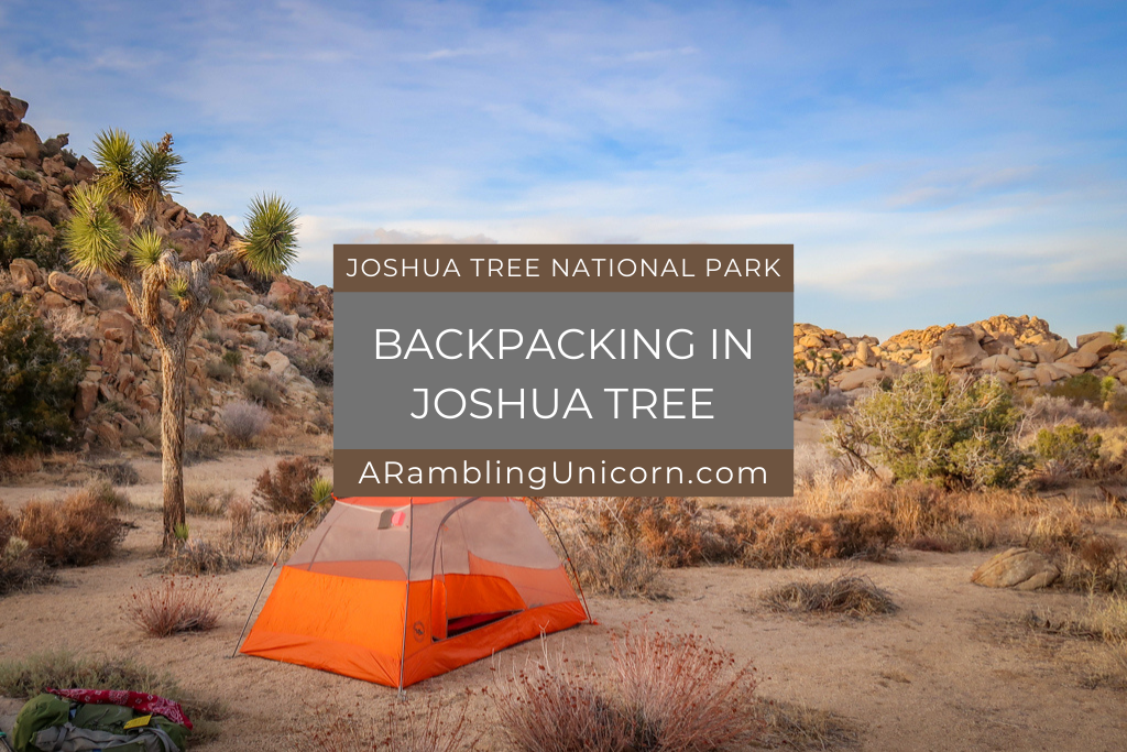Backpacking in Joshua Tree: Tips for Wilderness Camping