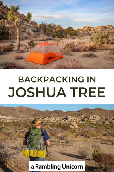 joshua tree guided backpacking trips