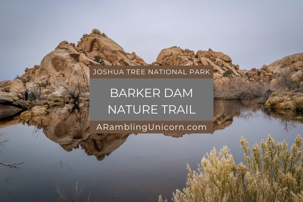 Barker Dam Nature Trail: A Stunning Hike in Joshua Tree