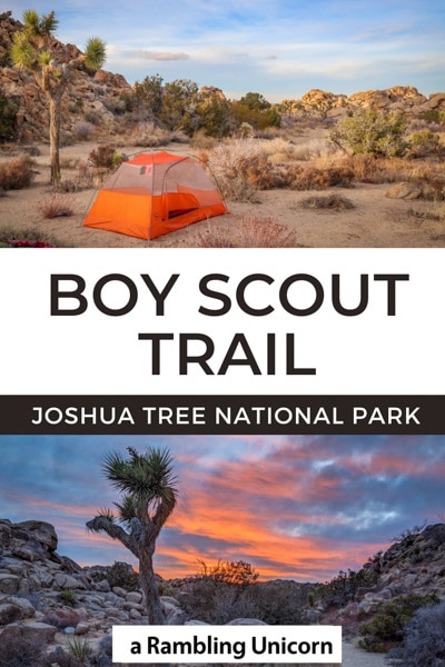 backpacking trip joshua tree