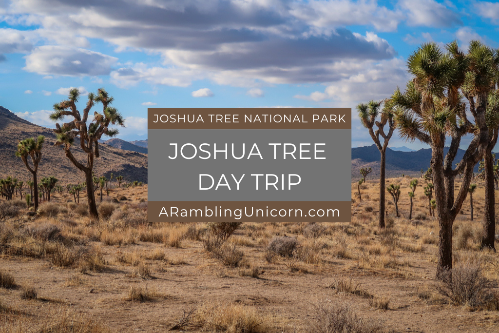 Joshua Tree Day Trip: The Ultimate One-Day Joshua Tree Itinerary