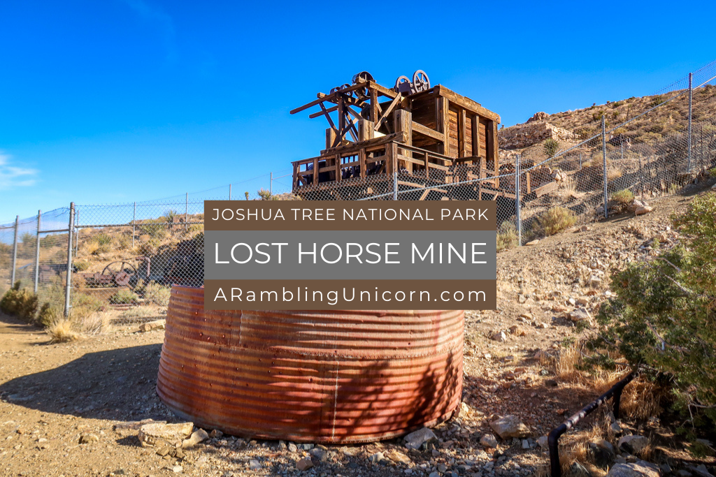 Hiking Lost Horse Mine Trail in Joshua Tree National Park