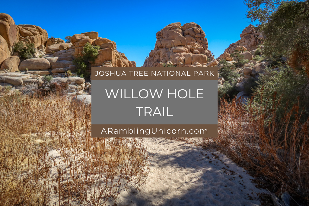 Willow Hole Joshua Tree: Discover a Wonderland of Rocks