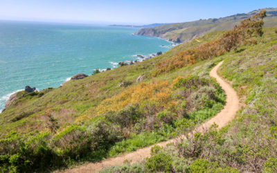 Northern California Coast Road Trip: Driving the Pacific Coast Highway