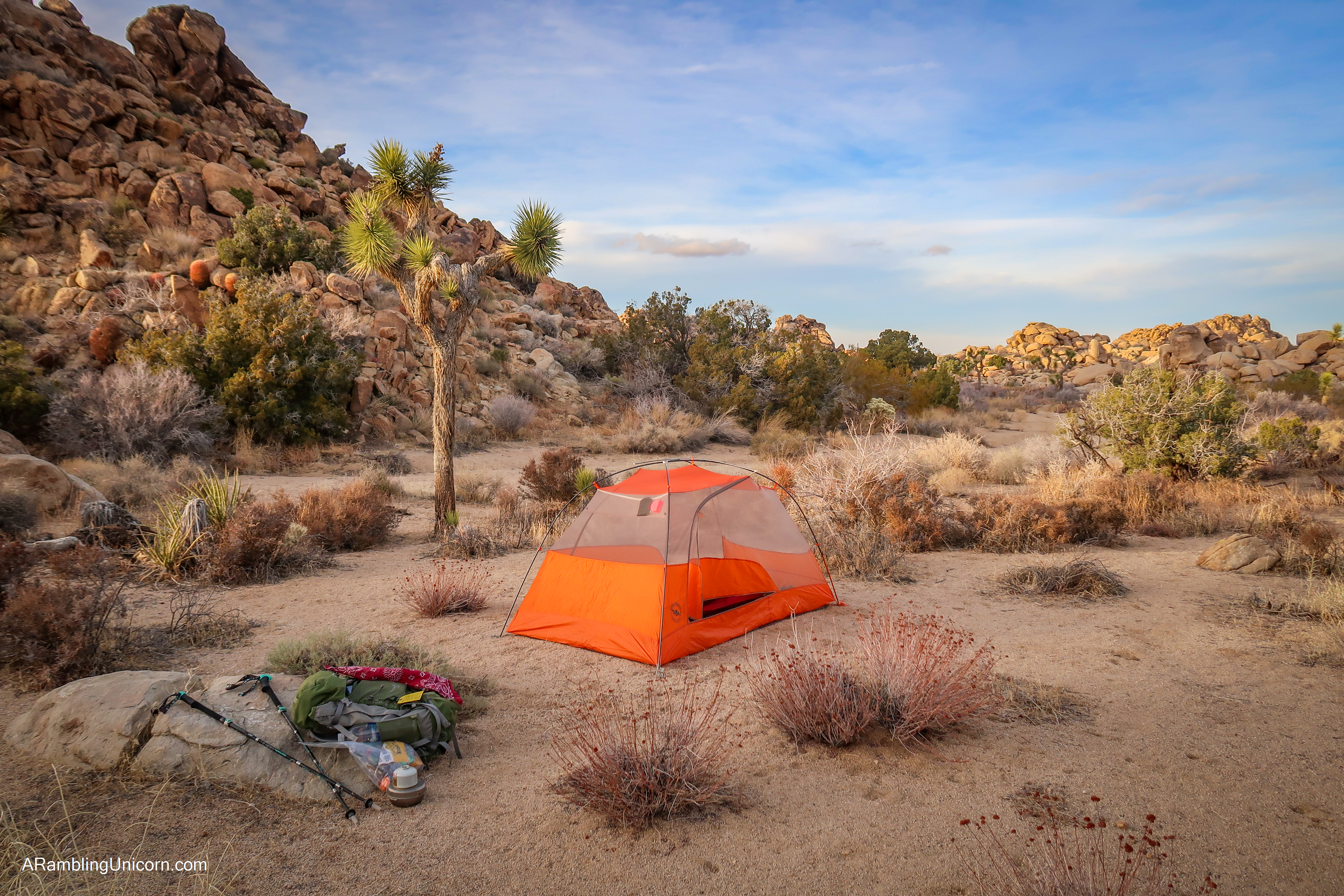 A tent set up at Joshua Tree National Park in the Mojave Desert 