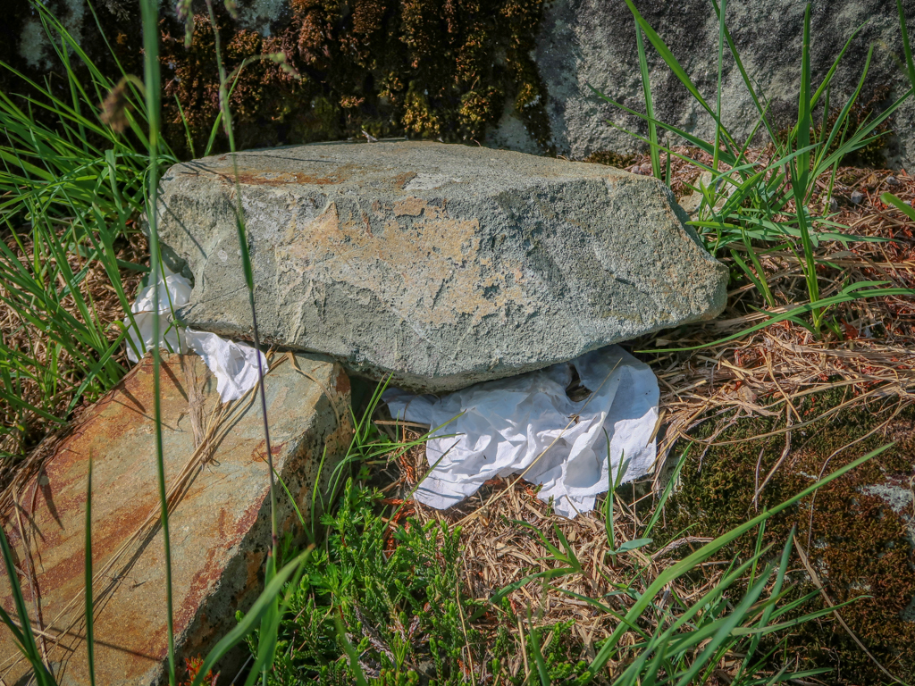 A rock with some toilet paper not very cleverly hidden under it. This is the wrong way to pee outdoors.