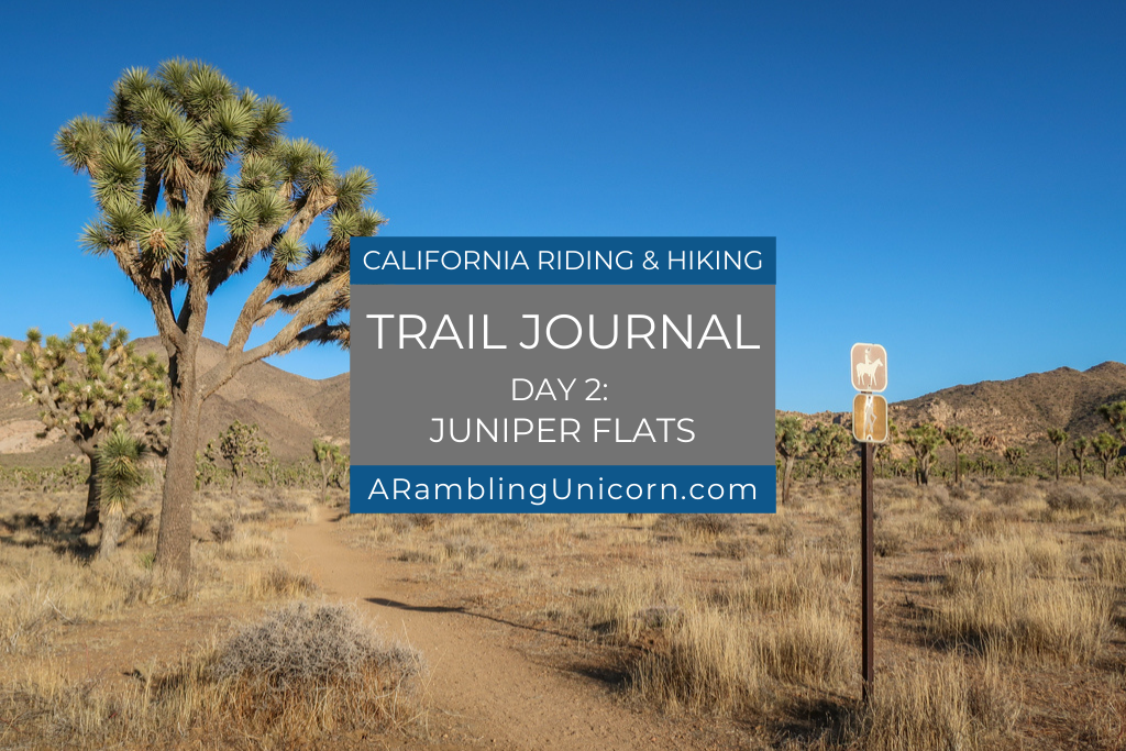 Juniper Flats Joshua Tree: Day 2 on the California Riding and Hiking Trail