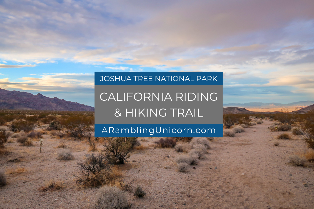 Juniper Flats Joshua Tree Day 2 on the California Riding and Hiking Trail