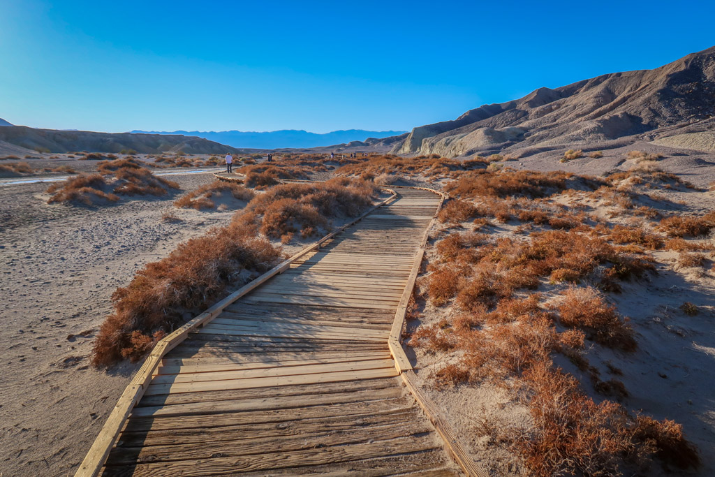 A boardwalk stretches through the desert to provide access to Salt Creek.