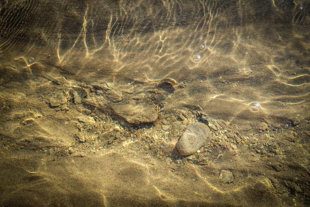 3 tiny Pupfish are camouflaged an Salt Creek in Death Valley National Park