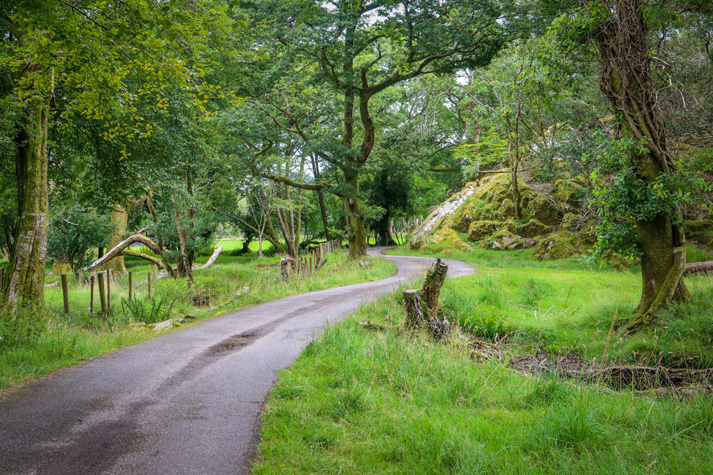 A narrow road meanders through a green field that is populated with a few trees and a mossy rock outrcop