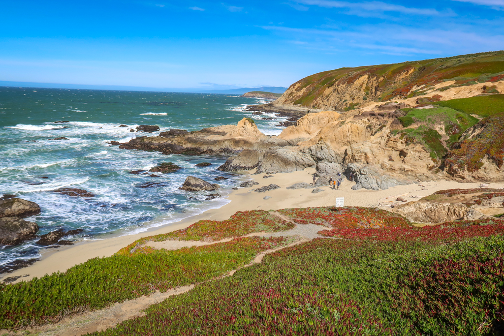 A sandy beach at Bodega Head lined with jagged granite rocks, a great stop on a Northern California Coast Road Trip