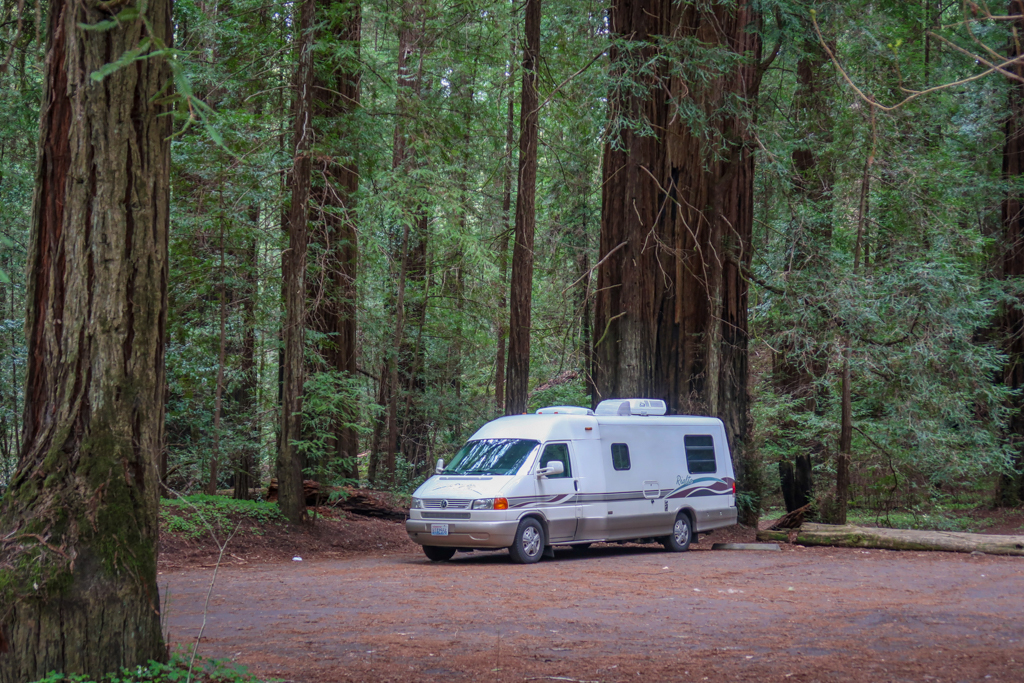 Our small Rialta motorhome, named Appa, is dwarfed by redwood trees at the Bolling Grove parking area 