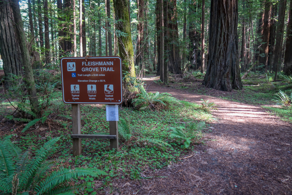 Sign for the Fleishmann Grove Trail across the street from the Humboldt Redwoods State Park Visitor Center 
