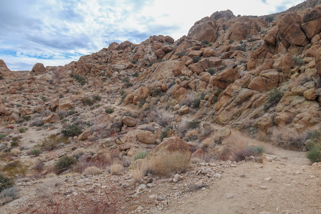 49 Palms Trail as it climbs uphill at an angle