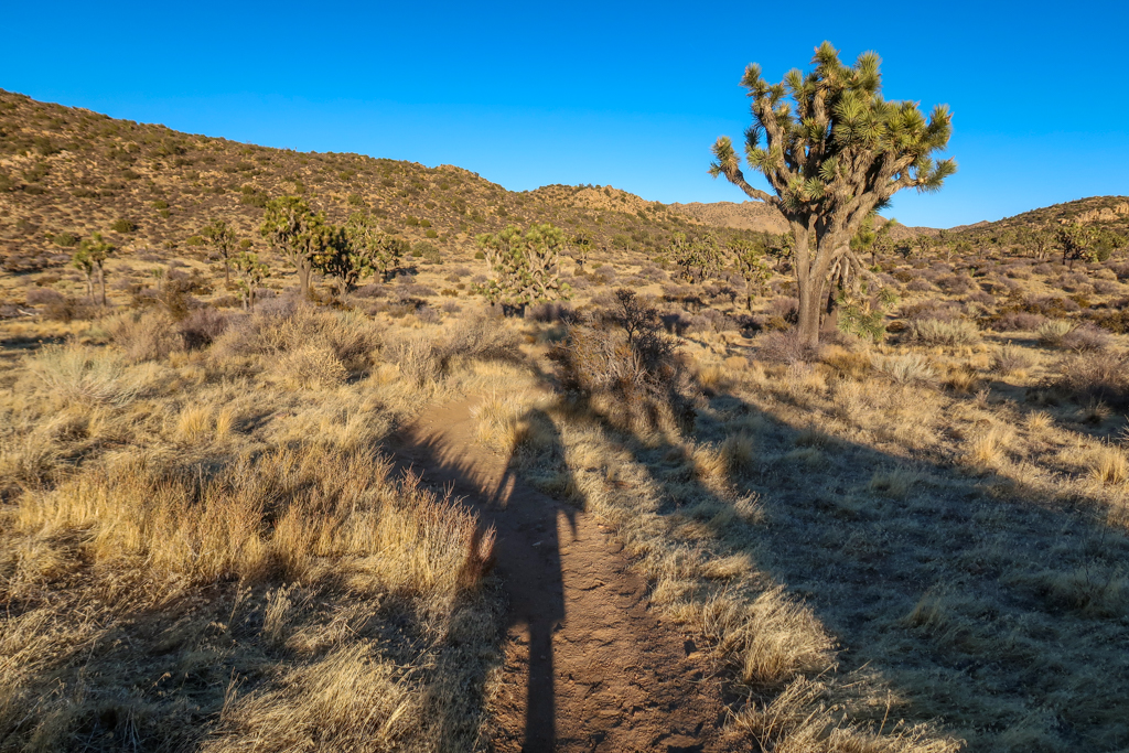 Shadow of a hiker on the trail carrying a water jug near Upper Covington Flats