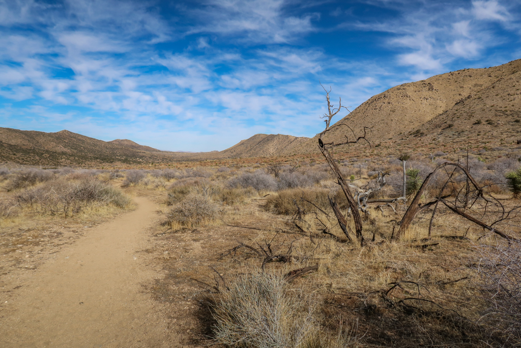 Trail leads through a high desert plateau with mountains in the distance