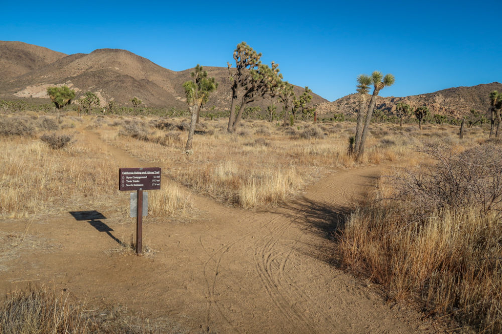 Juniper Flats Joshua Tree Day 2 on the California Riding and Hiking Trail