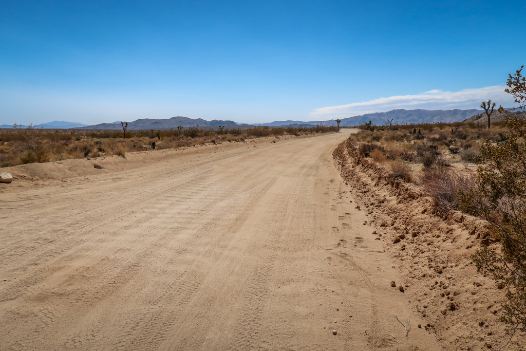 A bumpy dirt road with washboarding in Joshua Tree National Park