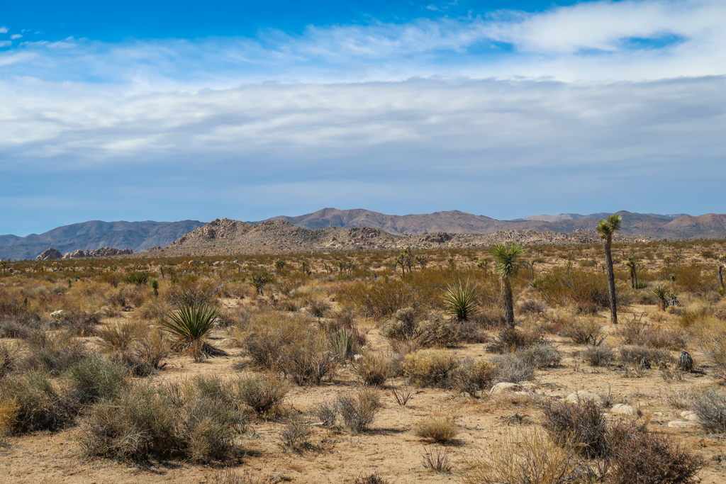 High desert landscape with blue sky and a band of fluffy white clouds.
