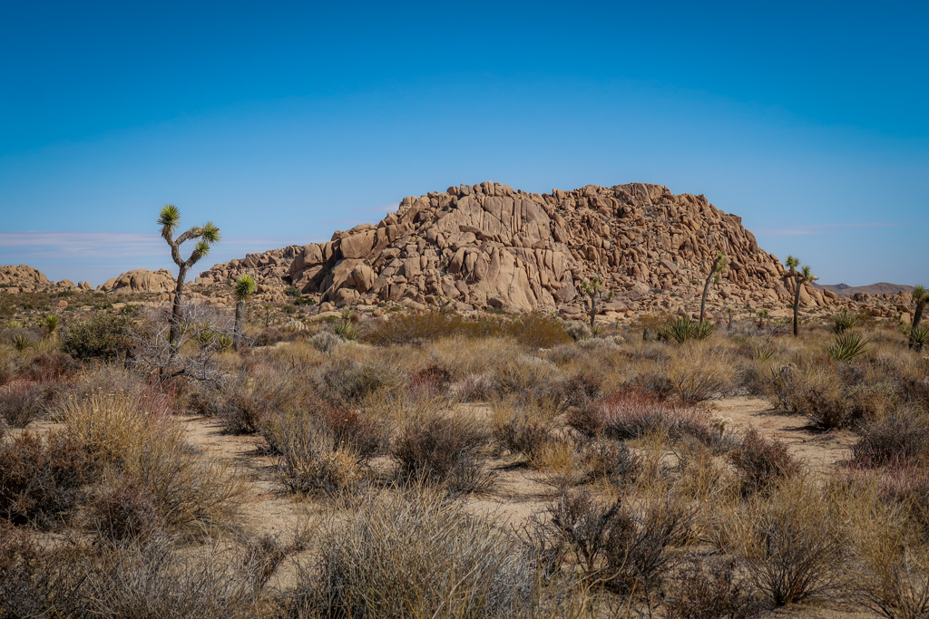 Jumbo Rocks -a large rock formation comprised of what looks like smooth boulders jumbled into a large pile located between Geology Tour Road and Twin Tanks