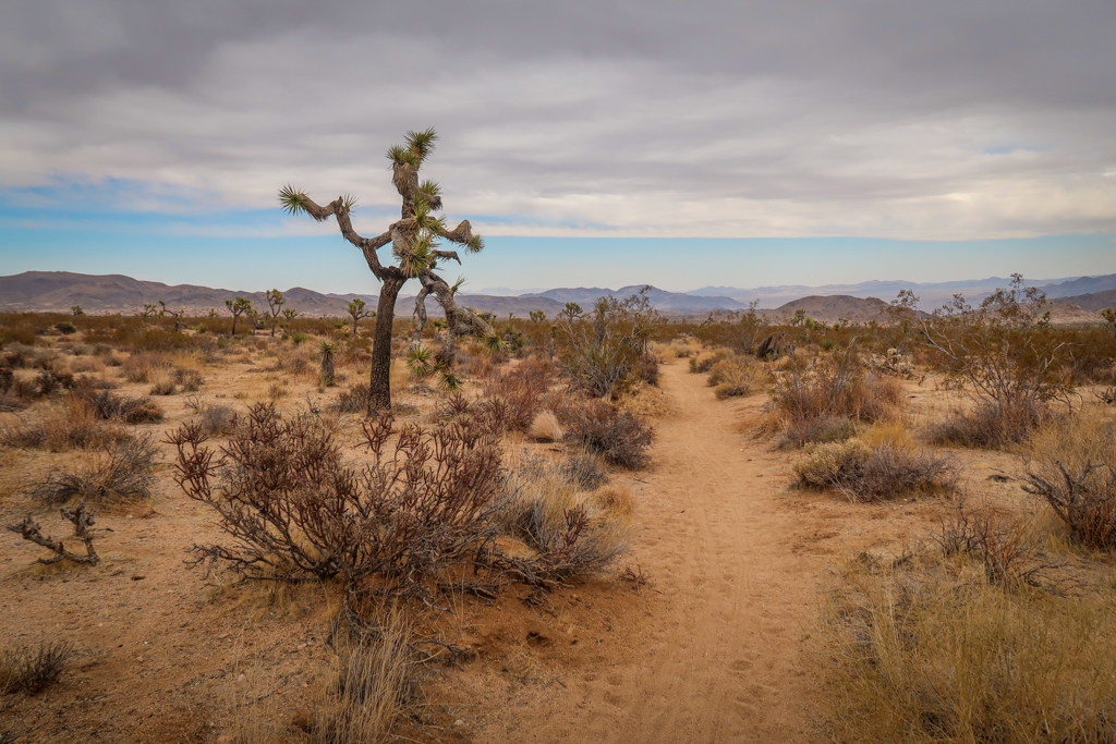 High desert landscape with grey skies and dark clouds. 