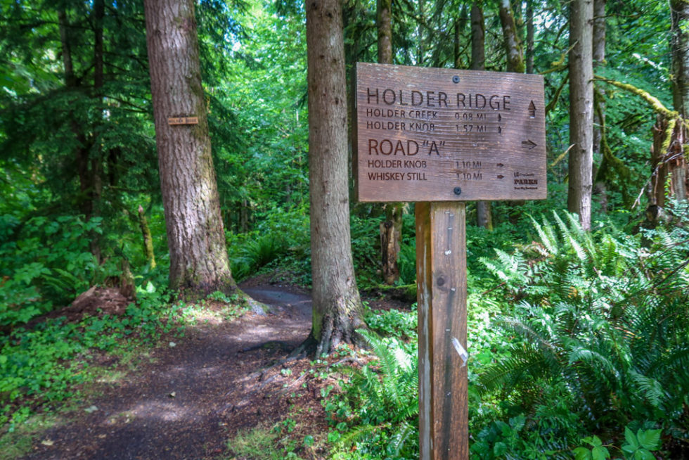 The Best Hikes In Issaquah Exploring The Issaquah Alps A Rambling   IssaquahAlps 26 980x654 