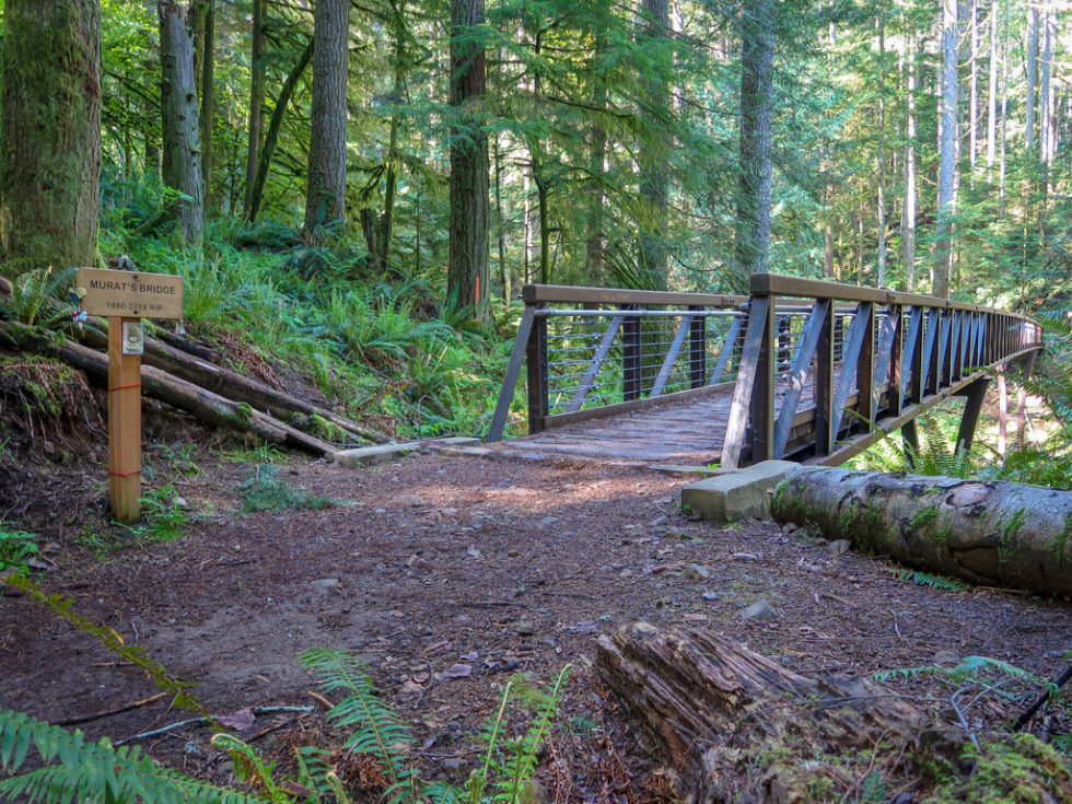 The Best Hikes in Issaquah Exploring the Issaquah Alps A Rambling