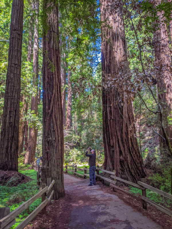 Northern California Coast Road Trip: Driving the Pacific Coast Highway ...